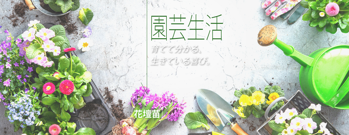 花壇苗・園芸用品カテゴリー、鉢植えのお花、観葉、多肉の通販専門店